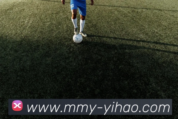 壹号娱乐平台生态图