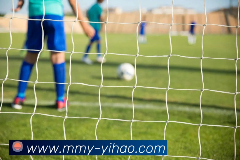 壹号娱乐APP 封面图